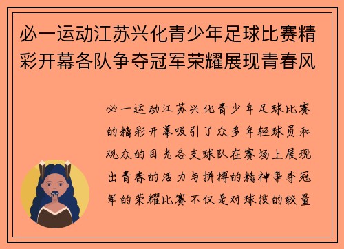 必一运动江苏兴化青少年足球比赛精彩开幕各队争夺冠军荣耀展现青春风采